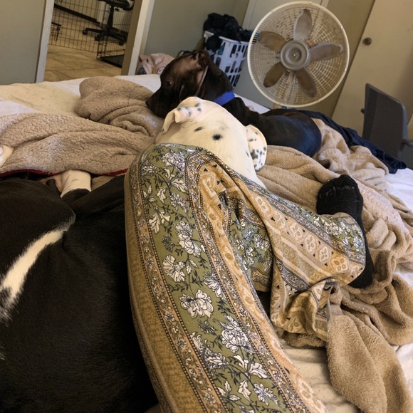 READ DESCRIPTION PLEASE